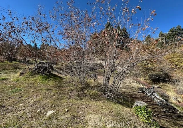 Photo 3 of Land for sale at 2379 Chicago Dr, Running Springs, CA 92382 | MLS# IG25150164 | Listing updated on 2026-06-30