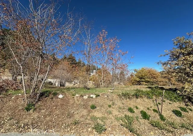 Photo 3 of Land for sale at 2379 Chicago Dr, Running Springs, CA 92382 | MLS# IG25150164 | Listing updated on 2026-06-30