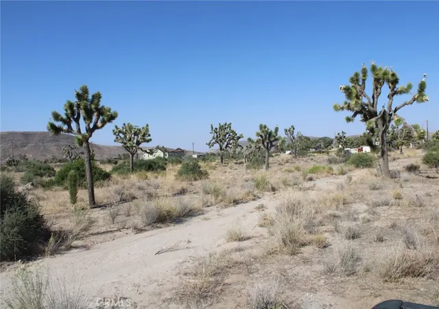 2nd image of 0 Minna Gombell Ln, Pioneertown, CA 92668 | MLS# CV25150711