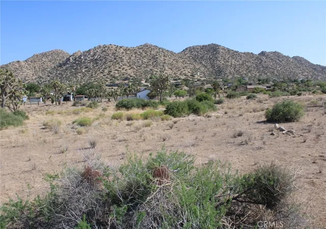 2nd image of 0 Minna Gombell Ln, Pioneertown, CA 92268 | MLS# CV25150716