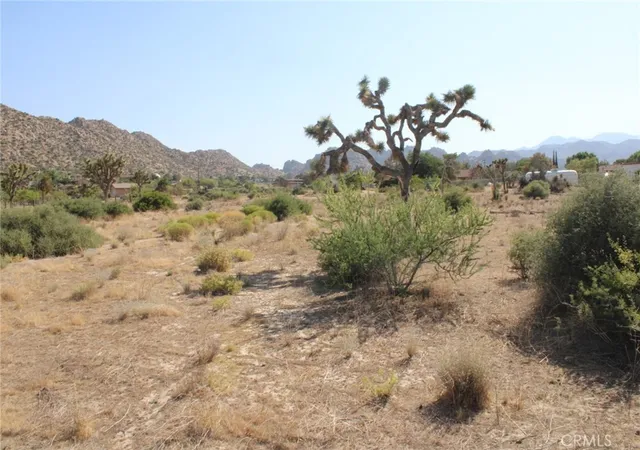 4th image of 0 Minna Gombell Ln, Pioneertown, CA 92268 | MLS# CV25150716