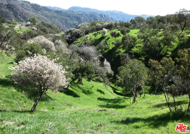 Photo 3 of Land for sale at 524 Moonrise, Malibu, CA 90265 | MLS# 25562089 | Listing updated on 2026-10-03