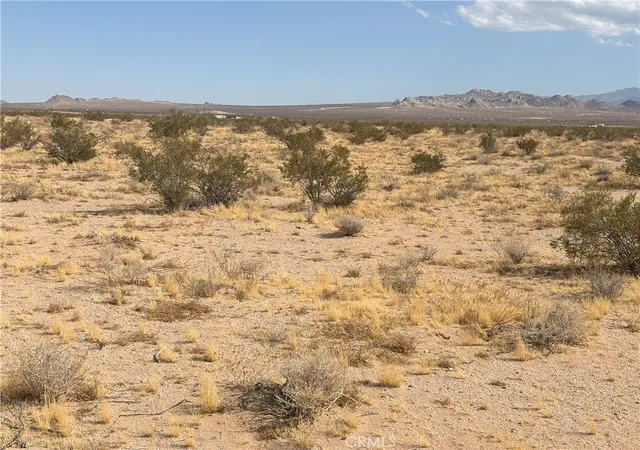 Homes for sale in Lucerne Valley, CA | 0 Saxon Rd, Lucerne Valley, CA 92356 | MLS# IV25154257
