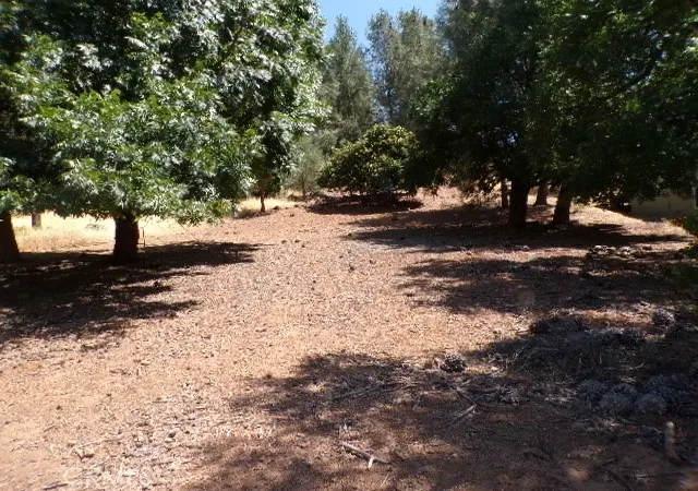 Photo 1 of Sale Pending at 10318 Hok Has Ha Ln, Kelseyville, CA 95453 | MLS# LC25156435 | Listing updated on 2026-09-16