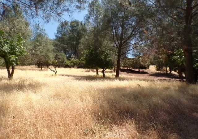 Photo 2 of Sale Pending at 10318 Hok Has Ha Ln, Kelseyville, CA 95453 | MLS# LC25156435 | Listing updated on 2026-09-16