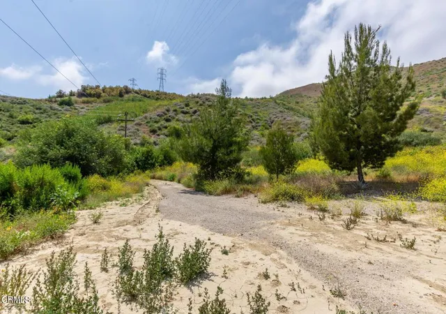 Single family home for sale at 3629 Center St, Piru, CA 93040 | MLS# V1-31101
