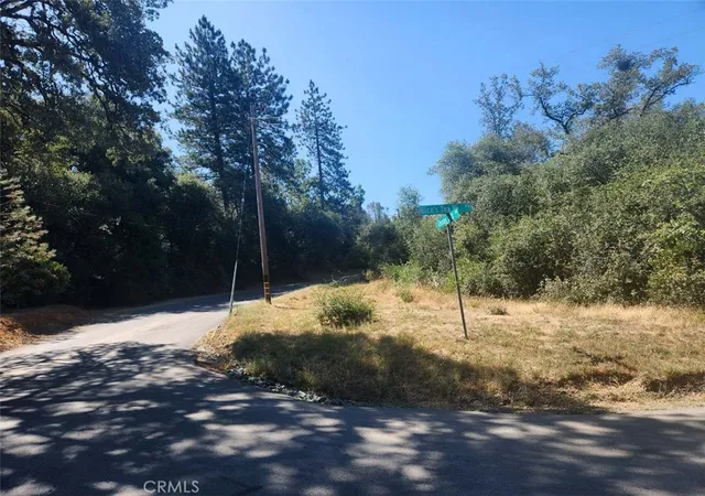 4th image of 47 Texas Hill Rd, Oregon House, CA 95962 | MLS# OR25158102