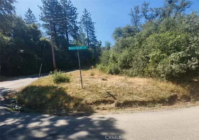 5th image of 47 Texas Hill Rd, Oregon House, CA 95962 | MLS# OR25158102