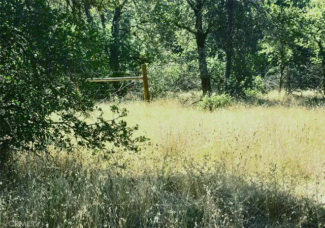 1st image of 48 Rices Texas Hill Rd, Oregon House, CA 95962 | MLS# OR25159118