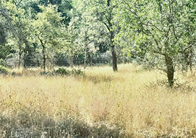 3rd image of 48 Rices Texas Hill Rd, Oregon House, CA 95962 | MLS# OR25159118