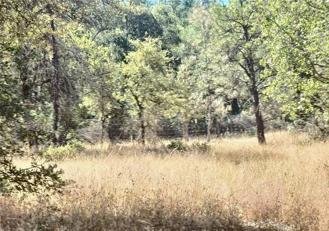 4th image of 48 Rices Texas Hill Rd, Oregon House, CA 95962 | MLS# OR25159118