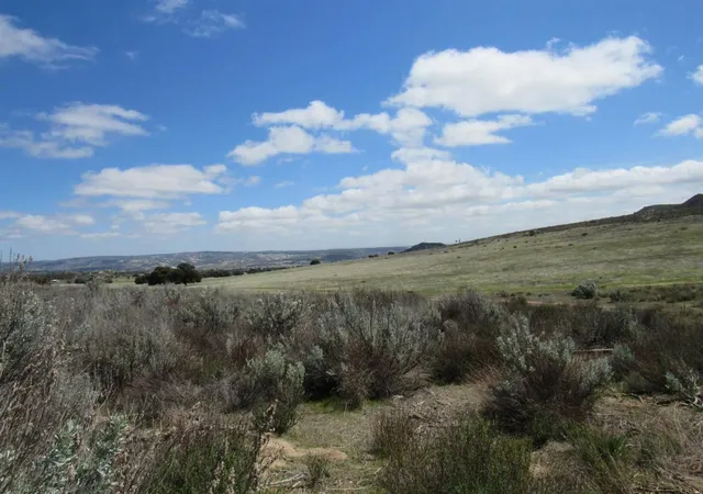2nd image of 575 25 Ac Hauser Creek Rd, Campo, CA 91906 | MLS# PTP2505378