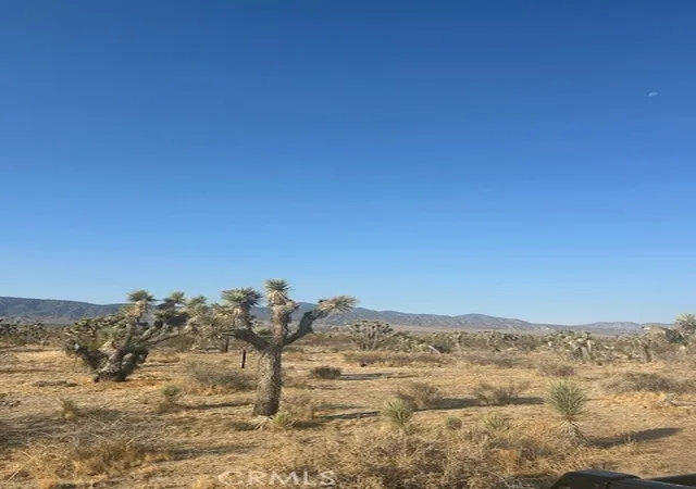 Photo 1 of Land for sale at 0 East Ave W 8 St, Palmdale, CA 93591 | MLS# HD25156768 | Listing updated on 2026-01-28