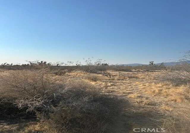 Photo 3 of Land for sale at 0 East Ave W 8 St, Palmdale, CA 93591 | MLS# HD25156768 | Listing updated on 2026-01-28