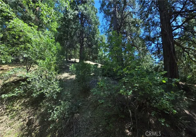 Photo 1 of Land for sale at 22494 Mojave River Rd, Cedarpines Park, CA 92322 | MLS# IG25160983 | Listing updated on 2026-05-28
