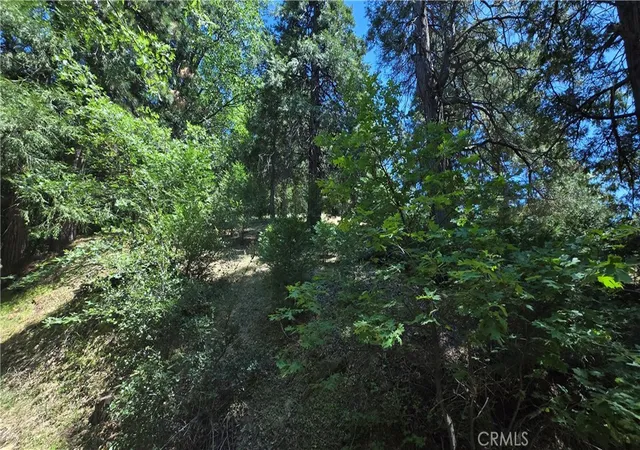 Photo 2 of Land for sale at 22494 Mojave River Rd, Cedarpines Park, CA 92322 | MLS# IG25160983 | Listing updated on 2026-05-28