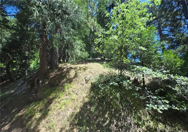 Photo 3 of Land for sale at 22494 Mojave River Rd, Cedarpines Park, CA 92322 | MLS# IG25160983 | Listing updated on 2026-05-28