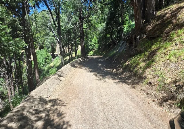 Photo 3 of Land for sale at 22494 Mojave River Rd, Cedarpines Park, CA 92322 | MLS# IG25160983 | Listing updated on 2026-05-28