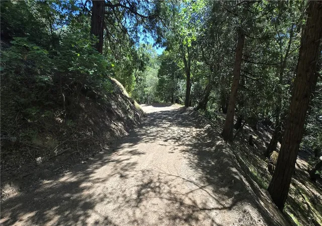 Photo 4 of Land for sale at 22494 Mojave River Rd, Cedarpines Park, CA 92322 | MLS# IG25160983 | Listing updated on 2026-05-28