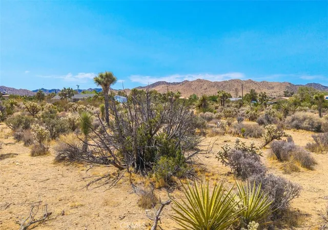 Homes for sale in Yucca Valley, CA | 1234 Ivanhoe Dr, Yucca Valley, CA 92284 | MLS# JT25158231