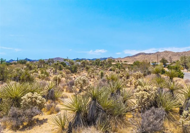 Homes for sale in Yucca Valley, CA | 1234 Ivanhoe Dr, Yucca Valley, CA 92284 | MLS# JT25158231