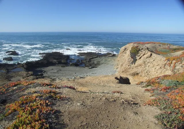 Homes for sale in Pescadero, CA | 10247 Cabrillo Hwy, Pescadero, CA 94060 | MLS# ML82015288