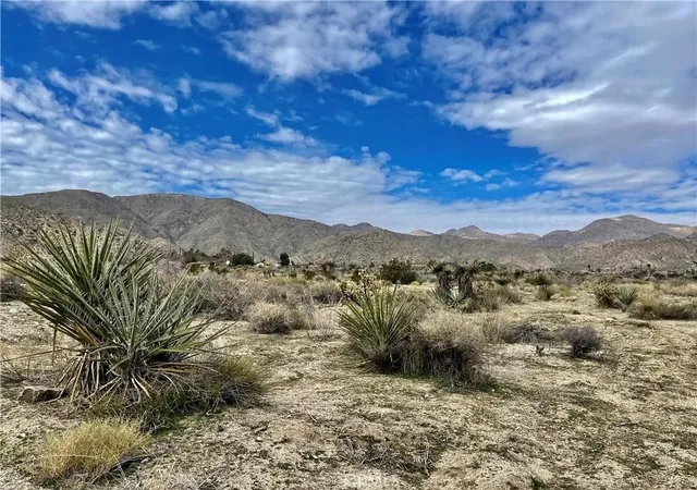 13th image of 11040 Mescalero Ave, Morongo Valley, CA 92256 | MLS# JT25153669
