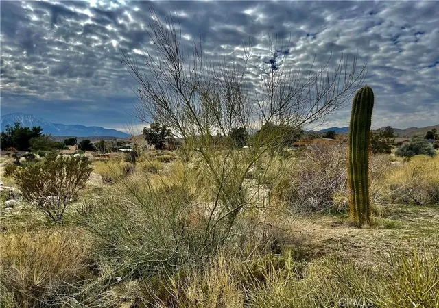 1st image of 11040 Mescalero Ave, Morongo Valley, CA 92256 | MLS# JT25153669