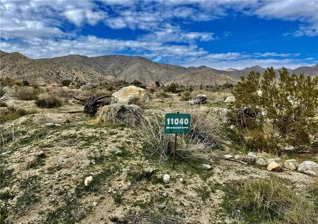 4th image of 11040 Mescalero Ave, Morongo Valley, CA 92256 | MLS# JT25153669
