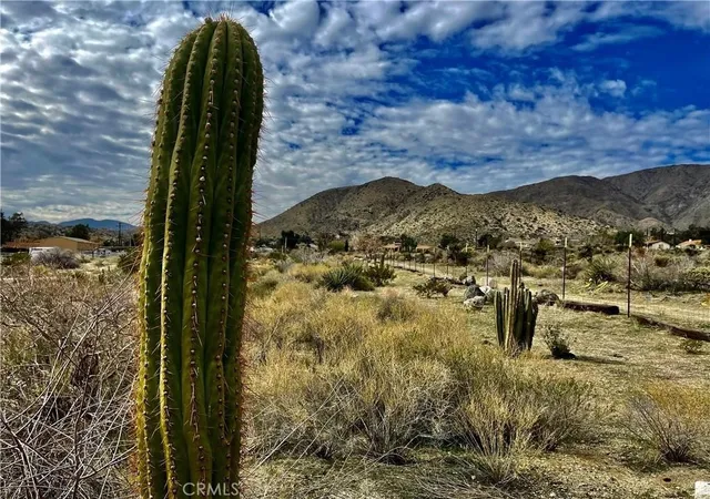 5th image of 11040 Mescalero Ave, Morongo Valley, CA 92256 | MLS# JT25153669