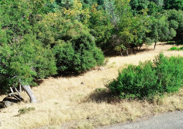 Photo 1 of Land for sale at 10610 Boren Bega Dr, Kelseyville, CA 95451 | MLS# LC25161317 | Listing updated on 2026-07-08
