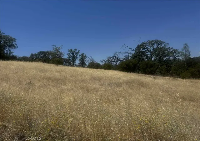 5th image of 6915 Remunda Rd, Corning, CA 96021 | MLS# SN25165085