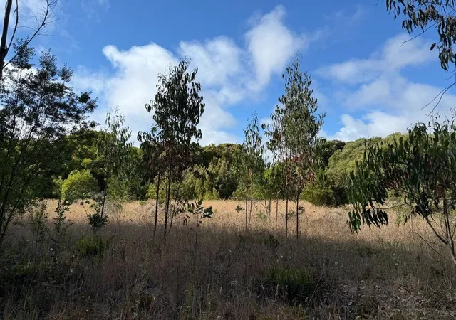 4th image of 0 Bonita Ave, Redwood City, CA 94061 | MLS# ML82015926