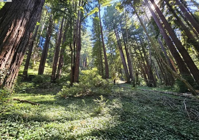 1st image of 26 Old La Honda Rd, Woodside, CA 94062 | MLS# 41106235