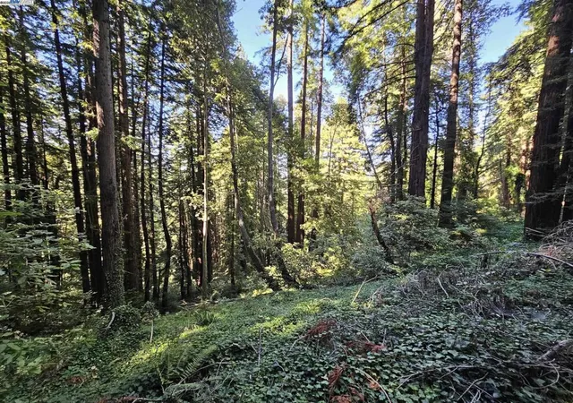 2nd image of 26 Old La Honda Rd, Woodside, CA 94062 | MLS# 41106235