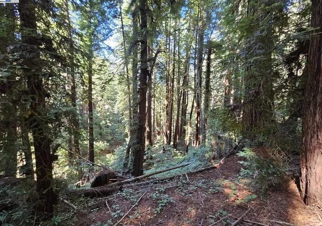 3rd image of 26 Old La Honda Rd, Woodside, CA 94062 | MLS# 41106235