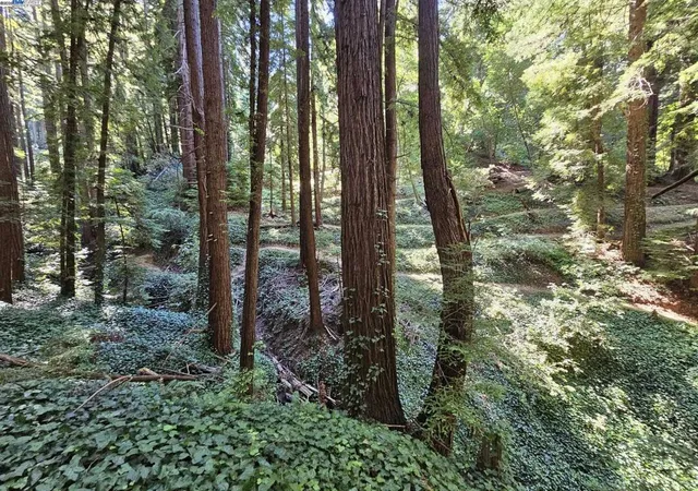 5th image of 26 Old La Honda Rd, Woodside, CA 94062 | MLS# 41106235