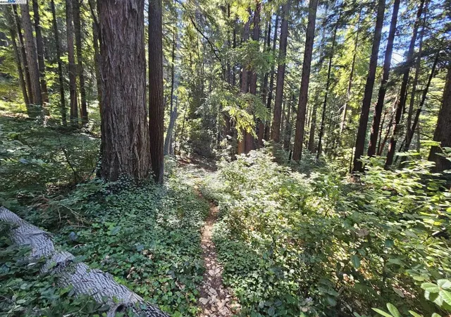 1st image of 27 Old La Honda Rd, Woodside, CA 94062 | MLS# 41106236