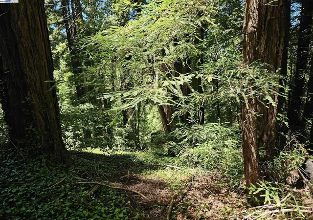 3rd image of 27 Old La Honda Rd, Woodside, CA 94062 | MLS# 41106236