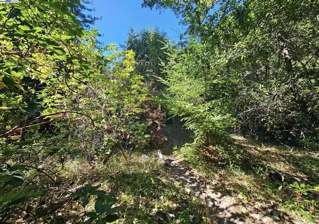 4th image of 27 Old La Honda Rd, Woodside, CA 94062 | MLS# 41106236
