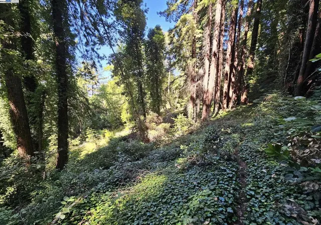 5th image of 27 Old La Honda Rd, Woodside, CA 94062 | MLS# 41106236