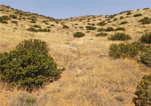 Homes for sale in Agua Dulce, CA | 0 Valleysage Rd, Agua Dulce, CA 91350 | MLS# SR25168982