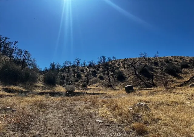 2nd image of 195 Ste/2 Min Bg, Llano, CA 93544 | MLS# JT25174749