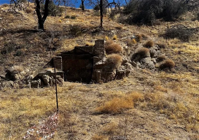 5th image of 195 Ste/2 Min Bg, Llano, CA 93544 | MLS# JT25174749