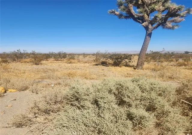 4th image of 11 Palmdale Rd, Pinon Hills, CA 92372 | MLS# IV25174880