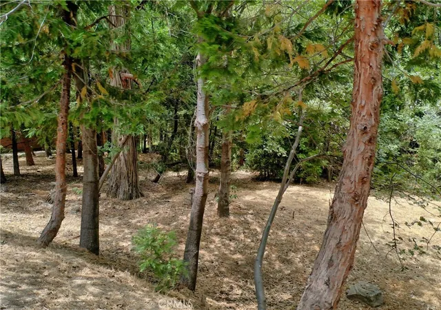 1st image of 27513 Meadow Bay Dr, Lake Arrowhead, CA 92352 | MLS# IG25184875
