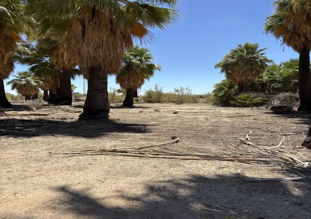 1st image of 51 W 4th St, Niland, CA 92257 | MLS# 219134035DA