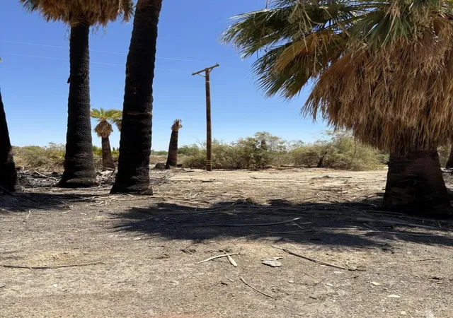 4th image of 51 W 4Th St, Niland, CA 92257 | MLS# 219134035DA