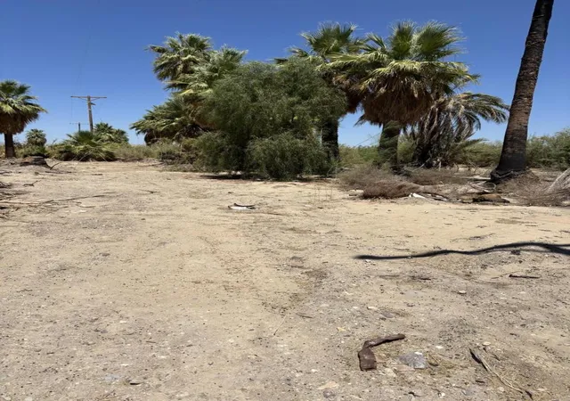 5th image of 51 W 4Th St, Niland, CA 92257 | MLS# 219134035DA