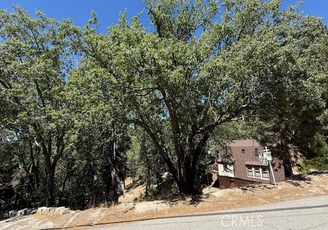 2nd image of 736 Dahlia Dr, Green Valley Lake, CA 92341 | MLS# IV25185644